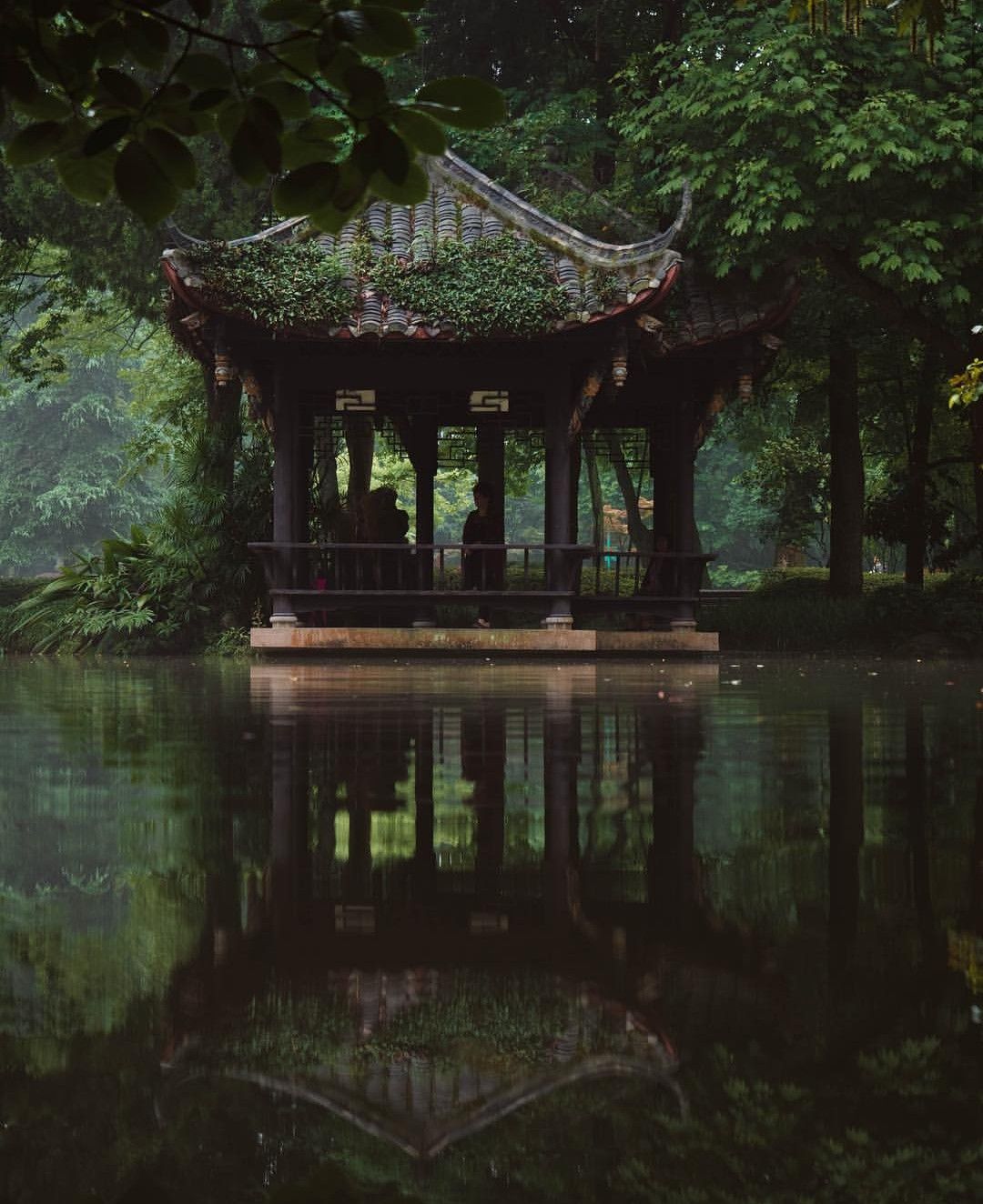 Женщина-убийца из Великой династии Сун — Глава 507