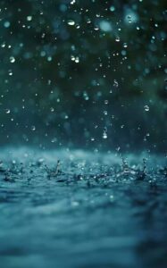 Женщина-убийца из Великой династии Сун — Глава 531