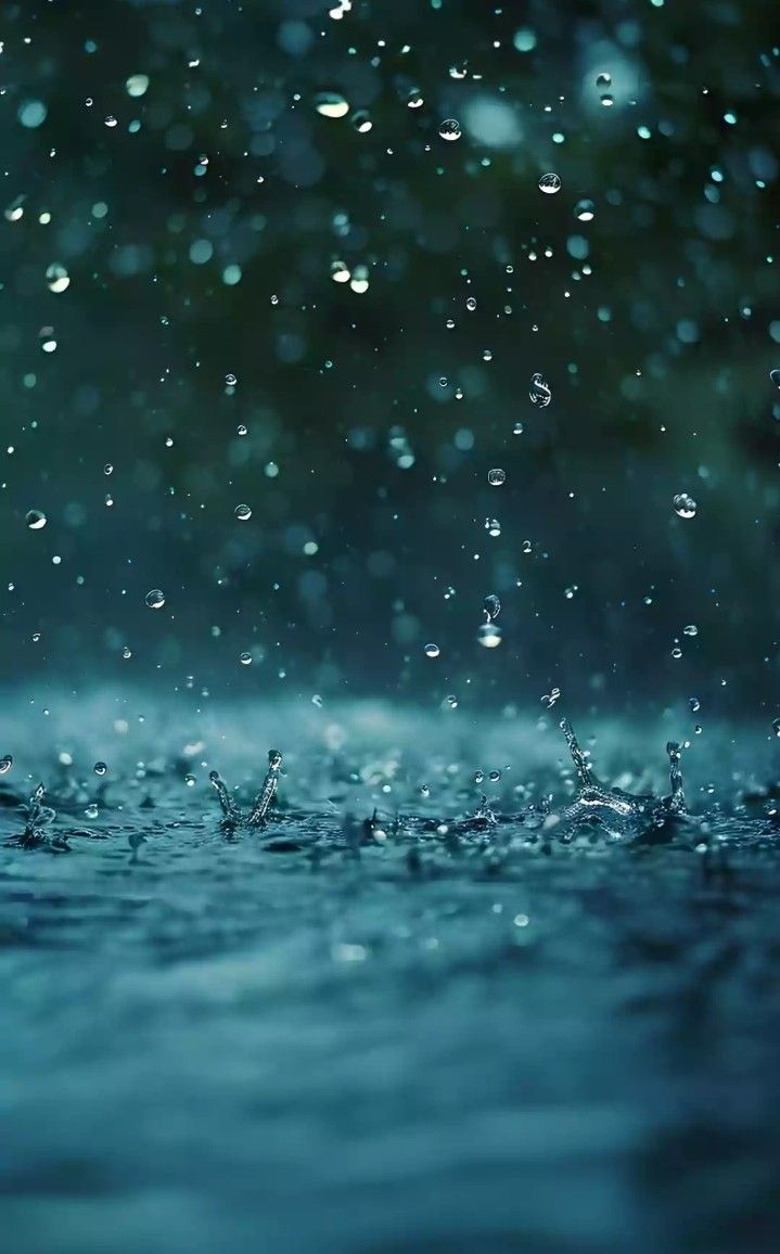 Женщина-убийца из Великой династии Сун — Глава 531