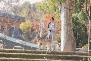 Двойной путь — Глава 24