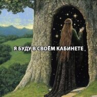 лисица сестрица
