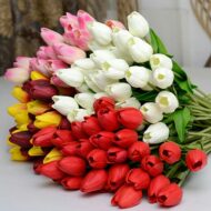 Наталья Коновалова