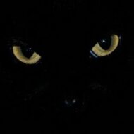 Елена Авдеенко