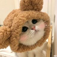 Юлия Самойленко